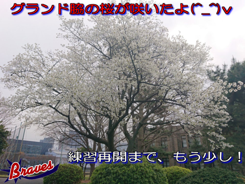 トップ画像