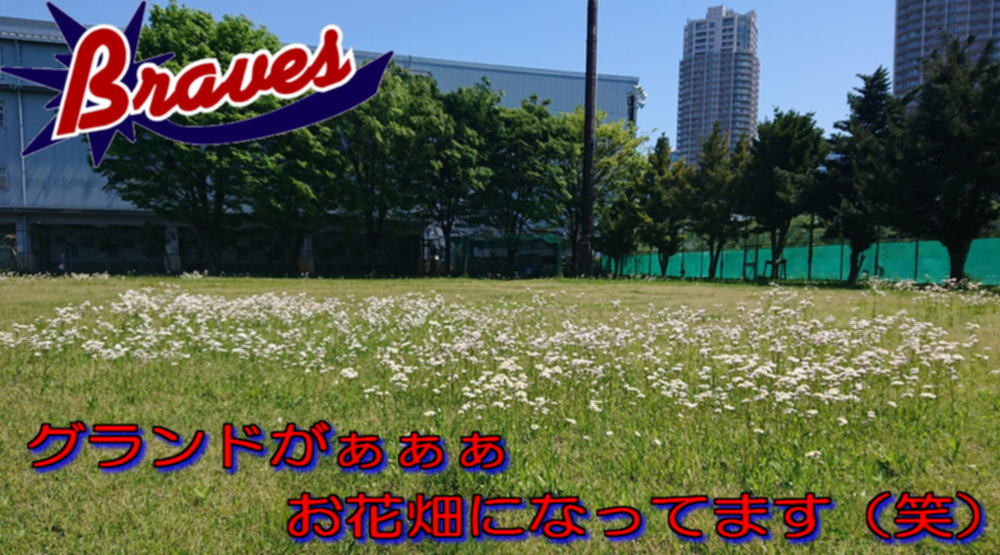トップ画像